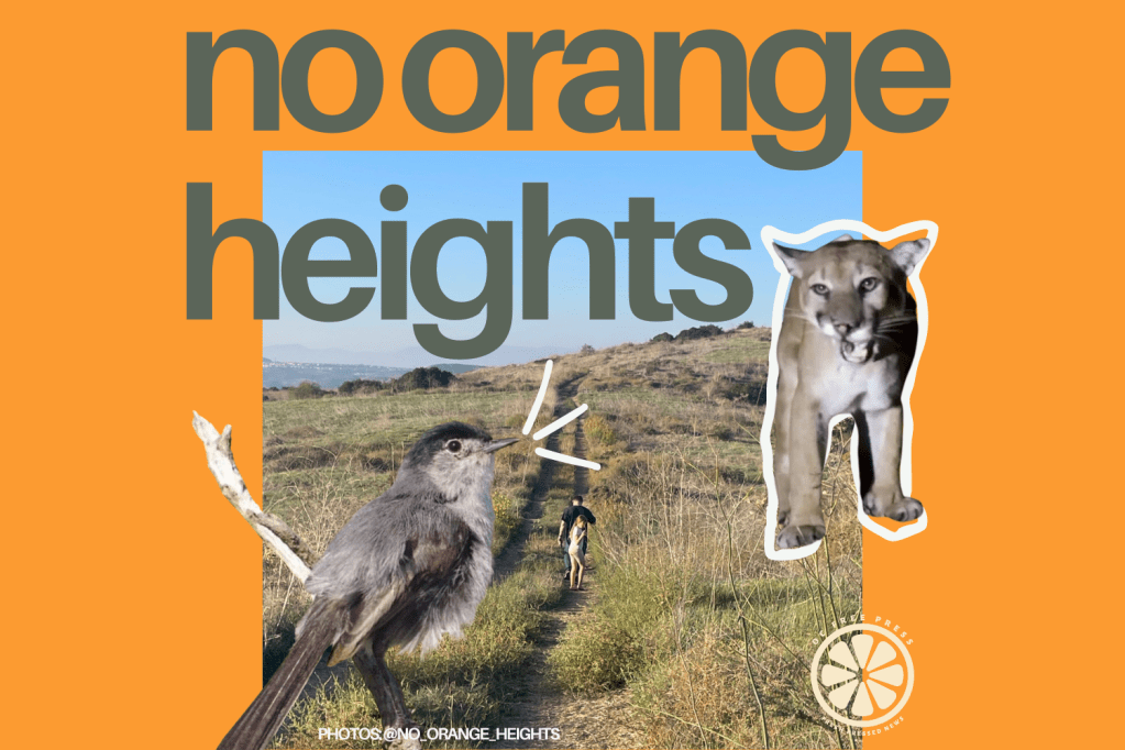 No Orange Heights